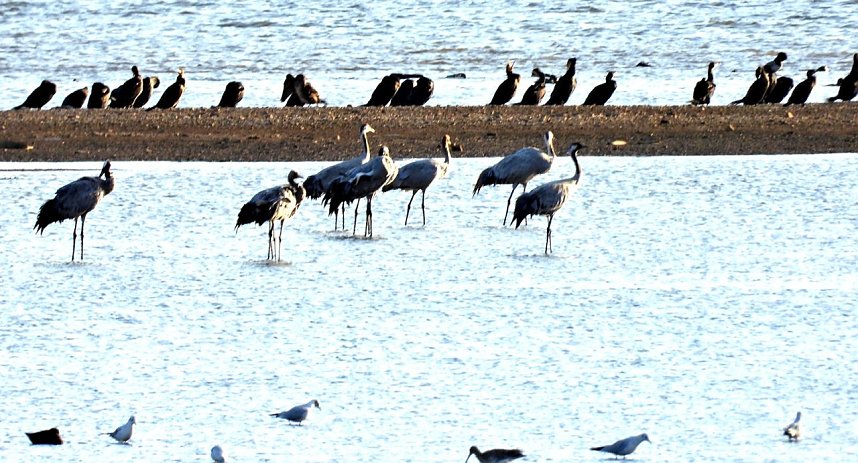 Abendstimmung am Stausee Kelbra