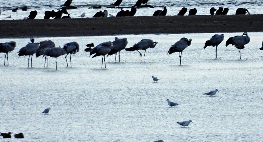 Abendstimmung am Stausee Kelbra