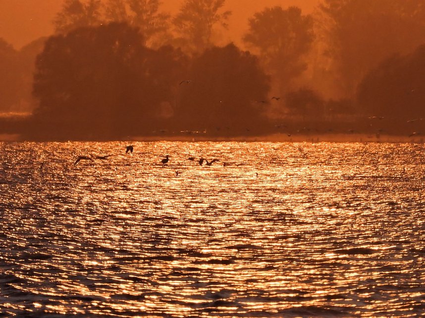 Abendstimmung am Stausee Kelbra