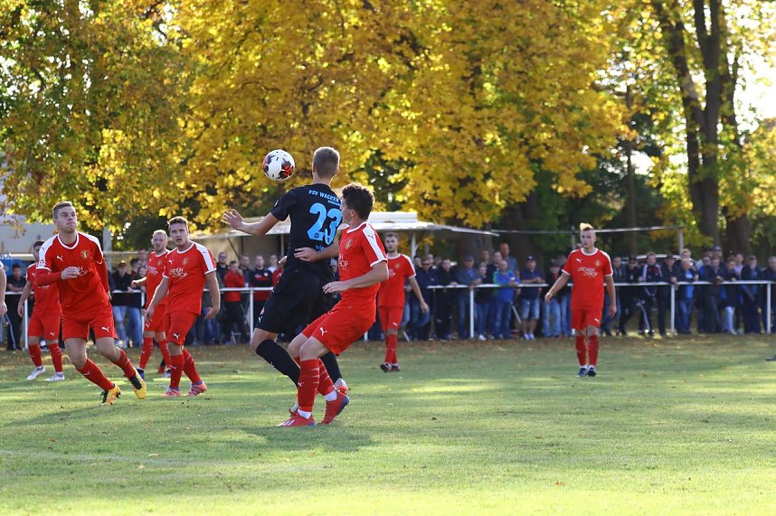 M&uuml;hevolles 1:3 in Altengottern