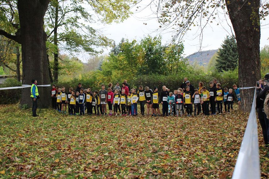 26. Stadtparklauf Sondershausen und...