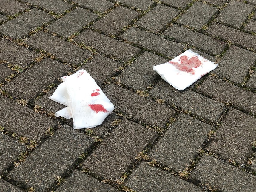 Spurensuche in Sondershausen