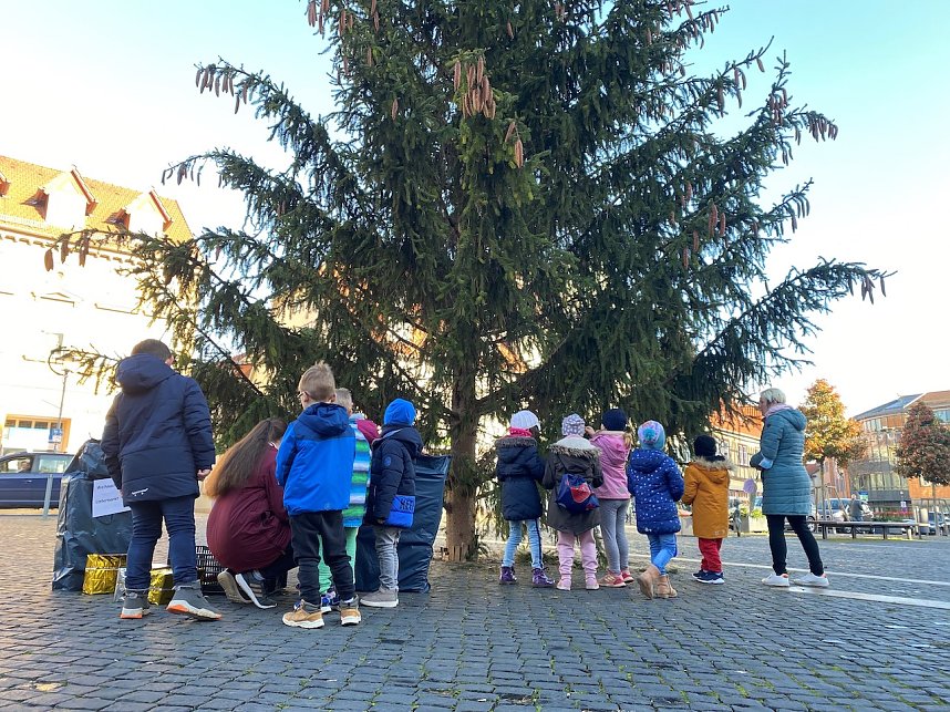 Weihnachtlicher Schmuck