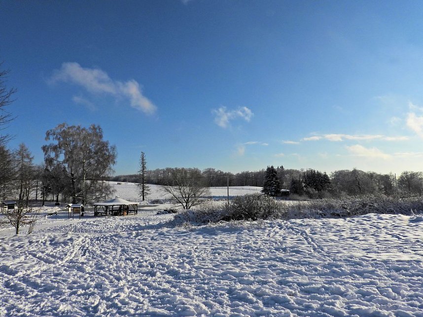 Winterliche Harzimpressionen