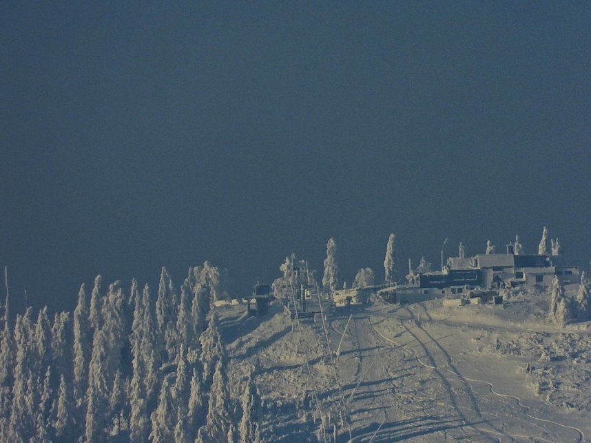 Winterliche Harzimpressionen