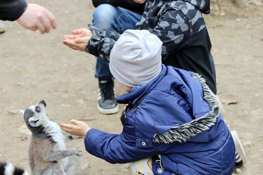 Besuch im Affenpark Strau&szlig;berg