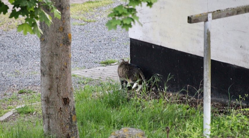 Wer ist hier der J&auml;ger?