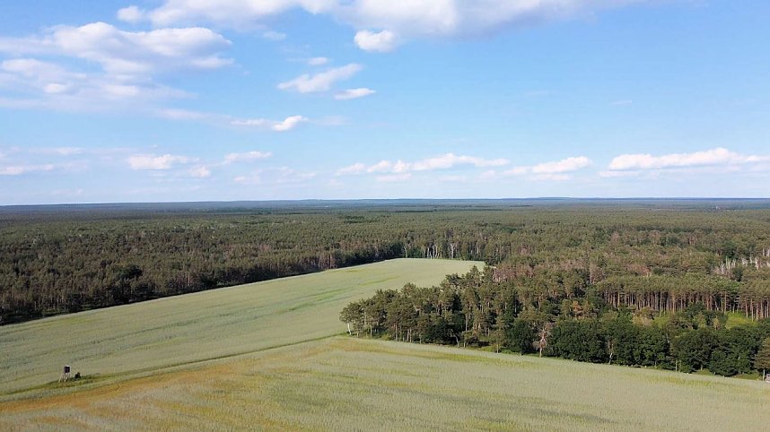 Ausflug zum Muldestausee