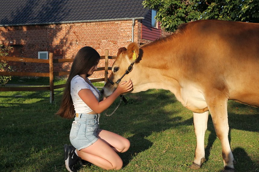 Eine ungew&ouml;hnliche Freundschaft