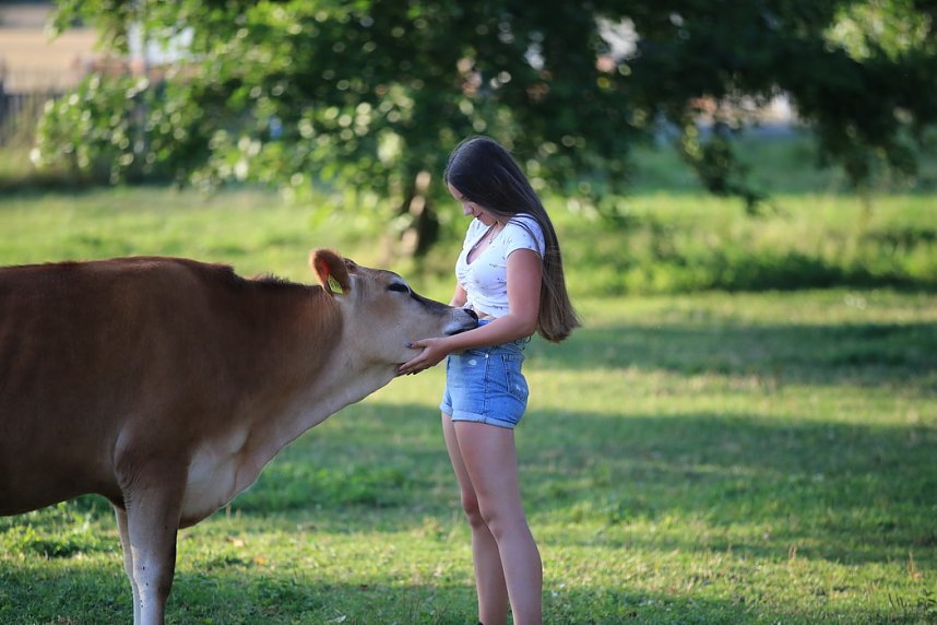 Eine ungew&ouml;hnliche Freundschaft
