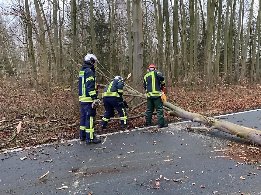 Bilder vom Unfallort 2020