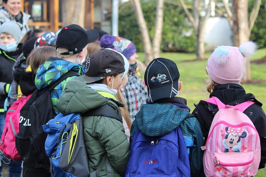 Auf der Suche nach Sakura und Samurai