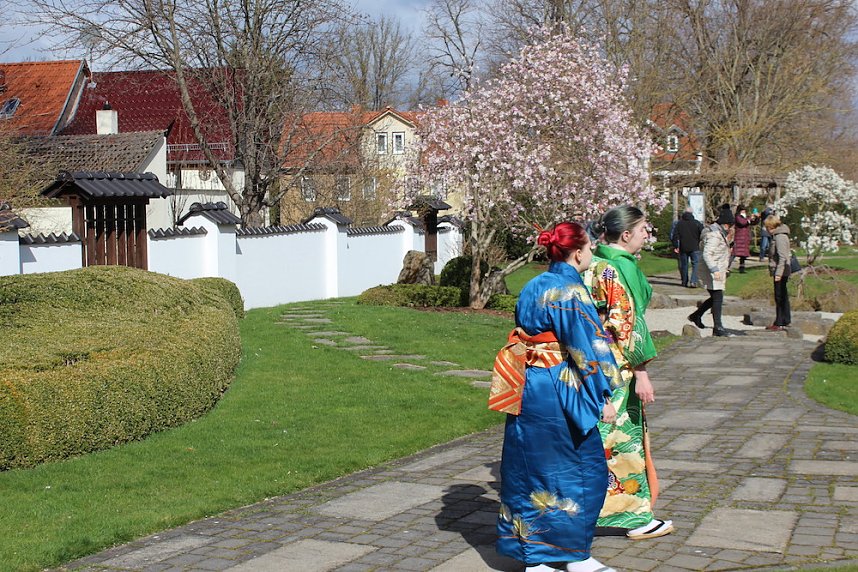 Impressionen vom Kirschbl&uuml;tenfest 2022