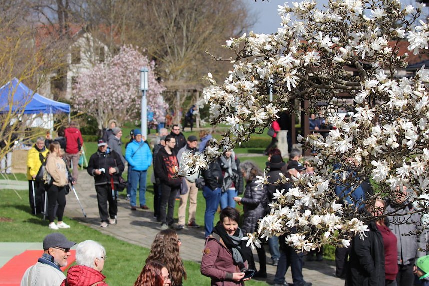 Impressionen vom Kirschbl&uuml;tenfest 2022
