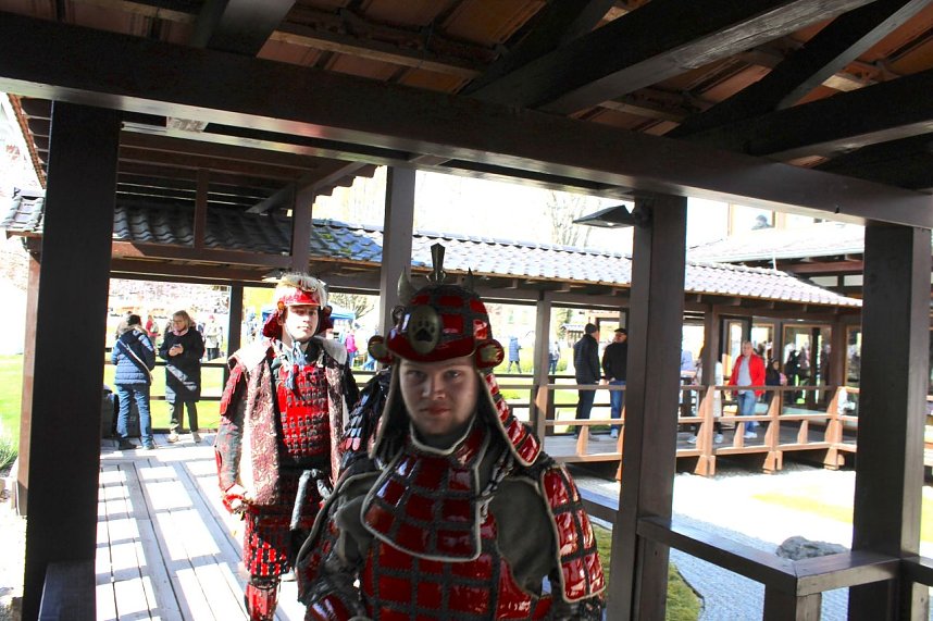 Impressionen vom Kirschbl&uuml;tenfest 2022