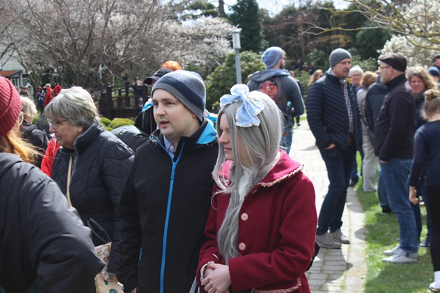 Impressionen vom Kirschbl&uuml;tenfest 2022