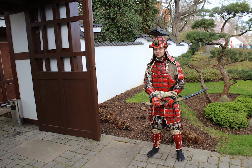 Impressionen vom Kirschbl&uuml;tenfest 2022