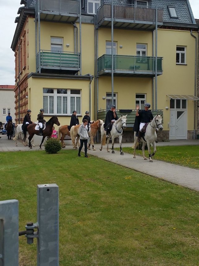 Archiv-Novalisritt 2019