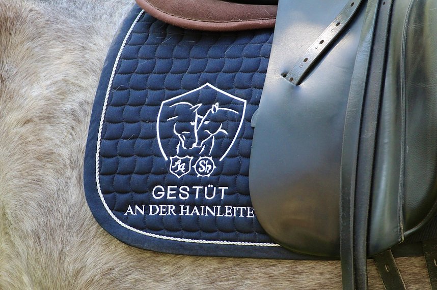 250. Geburtstag von "Novalis"