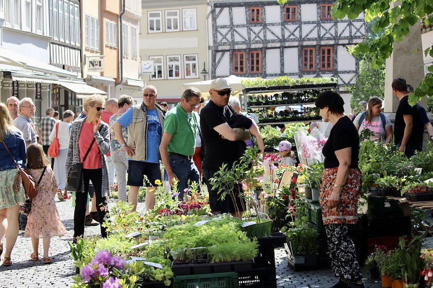 Gr&uuml;nes Innenstadtfest Bad Langensalza