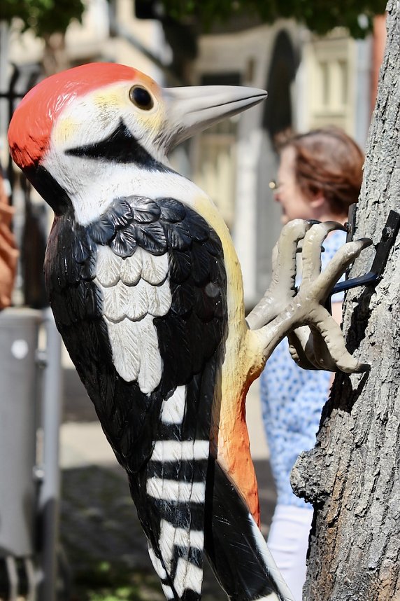 Gr&uuml;nes Innenstadtfest Bad Langensalza