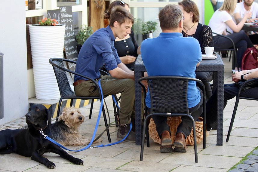 Innenstadtfest in Bad Langensalza