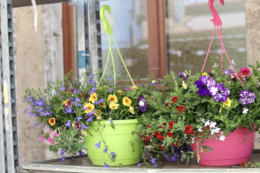 Innenstadtfest in Bad Langensalza