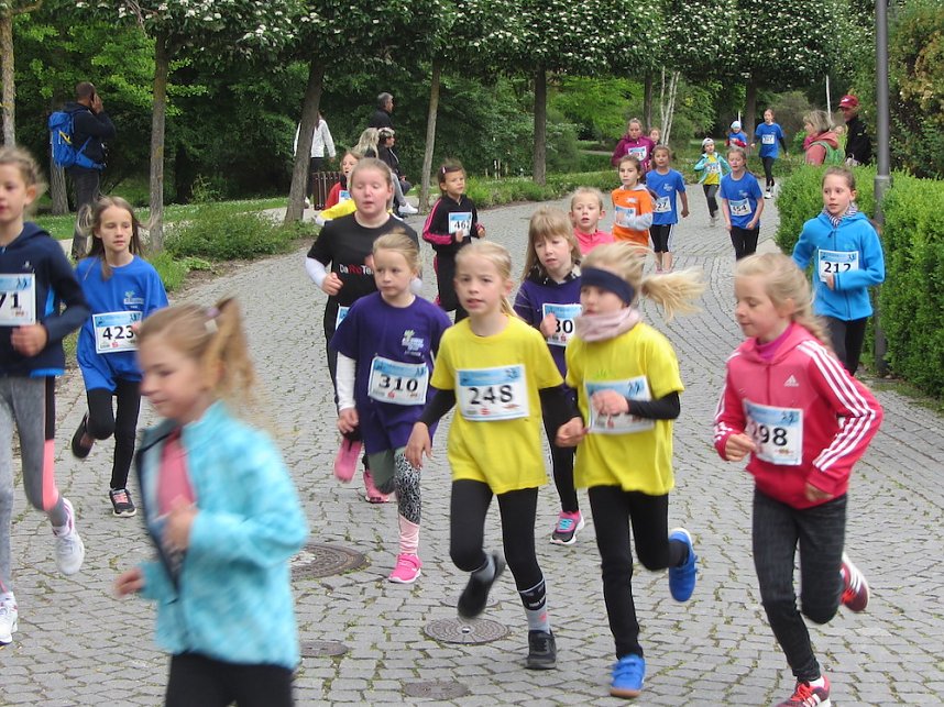 Impressionen vom 9. Drei-T&uuml;rme-Lauf