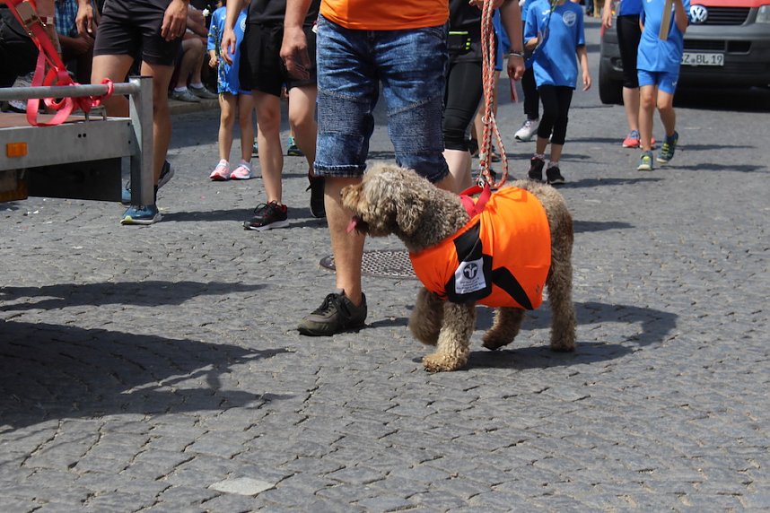 Impressionen vom Festumzug 