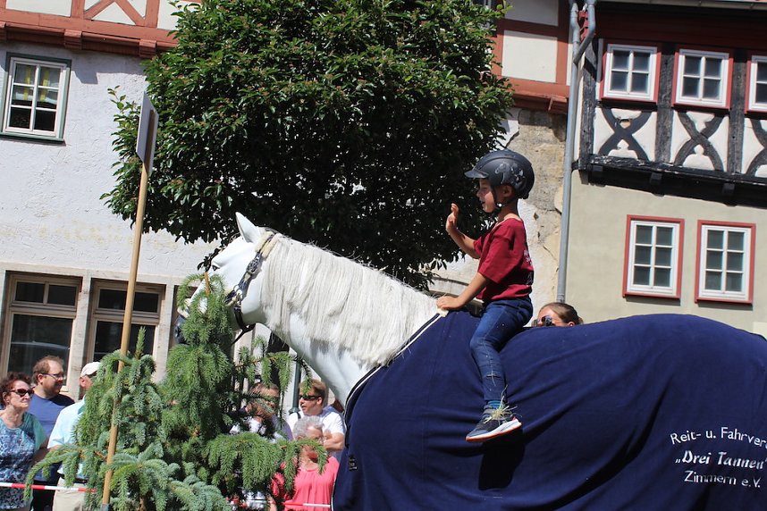 Impressionen vom Festumzug 