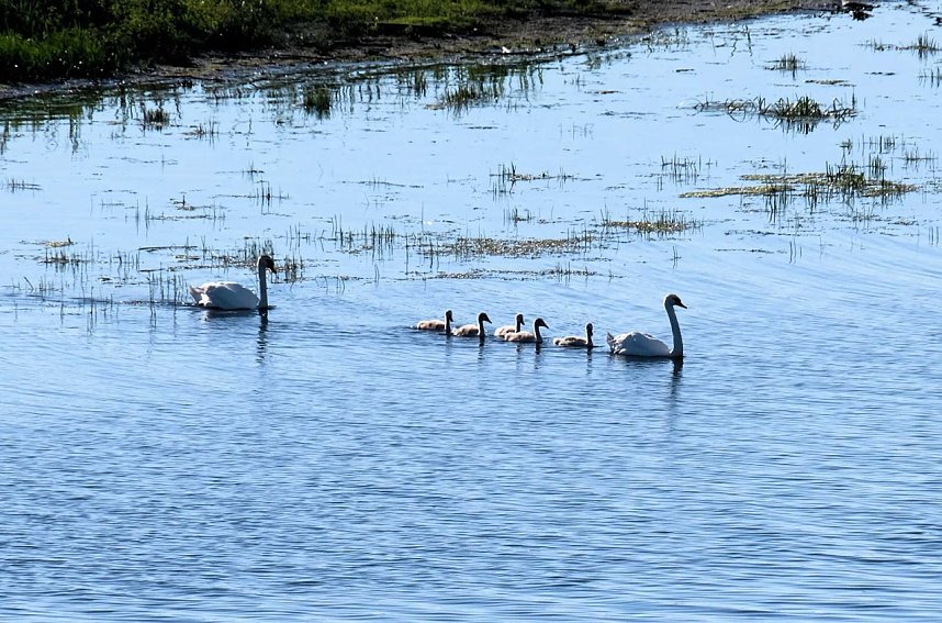 Peter Blei unterwegs in Je&szlig;nitz