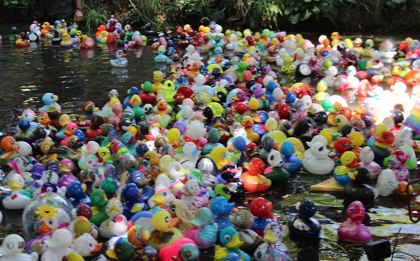 Am Start und an der Strecke des Entenrennens 2022