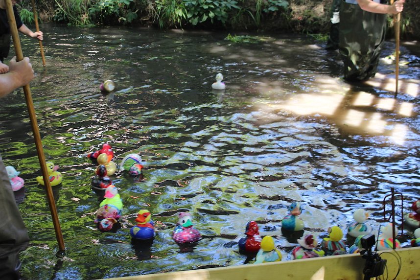 Am Start und an der Strecke des Entenrennens 2022