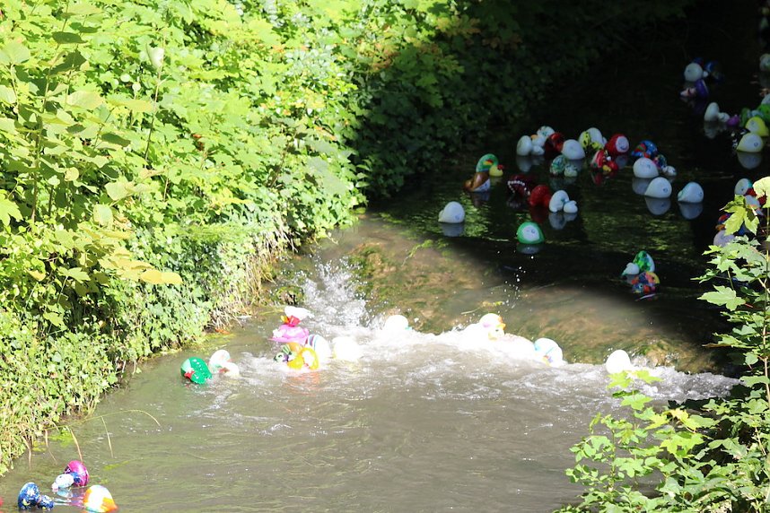 Am Start und an der Strecke des Entenrennens 2022