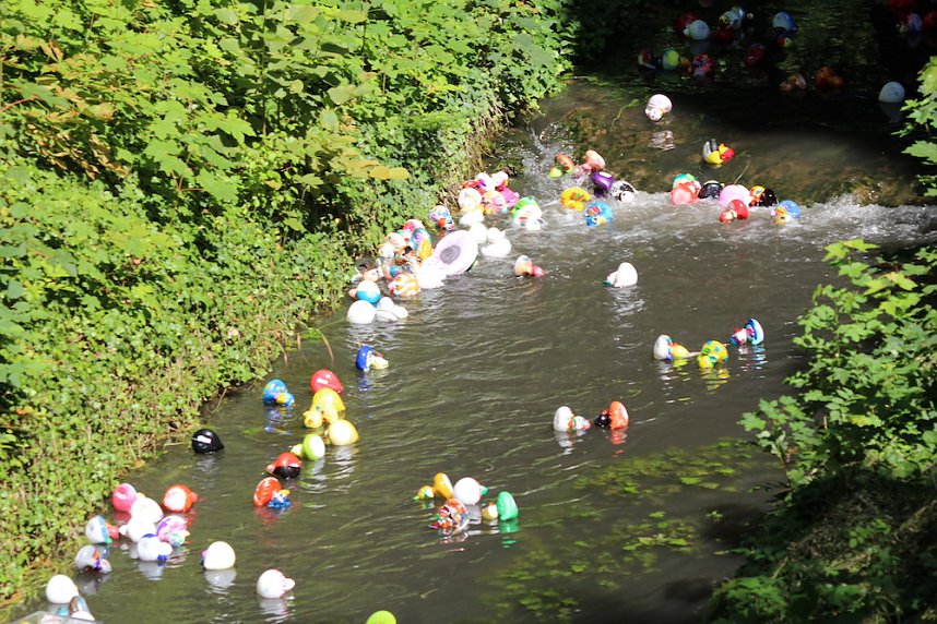 Am Start und an der Strecke des Entenrennens 2022