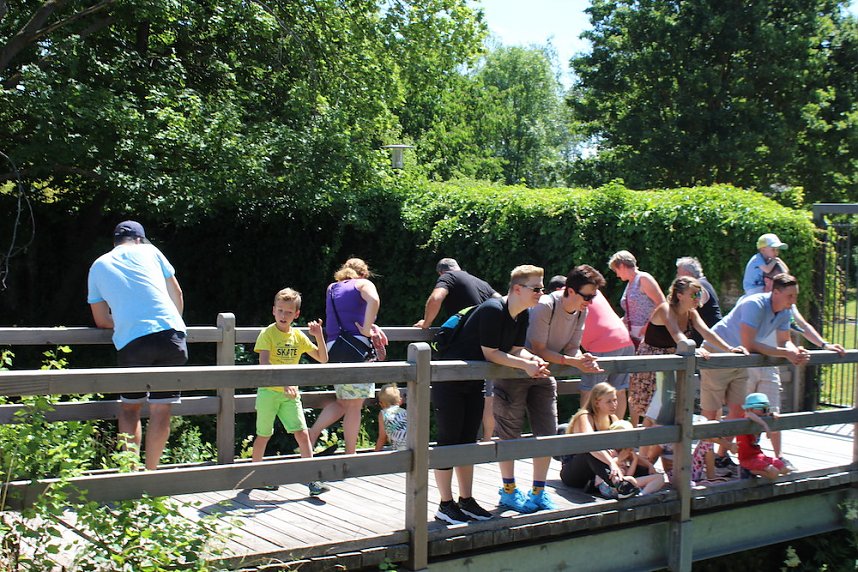 Am Zieleinlauf herrschte Volksfeststimmung