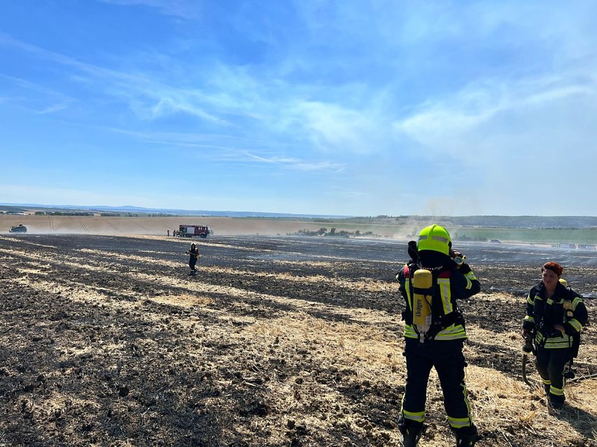 Feldbrand Bein Obermehler