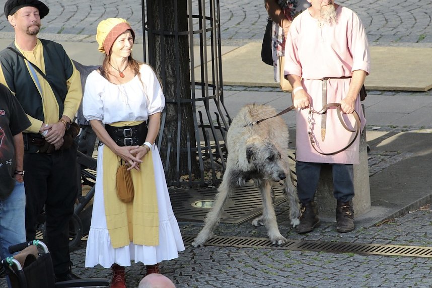 Mit einem phantastischen Spektakel und die Verabschiedung aller Akteure, endete das 28. Mittelalterfest von Bad Langensalza