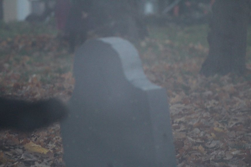 Halloween-Party im Schl&ouml;sschenpark