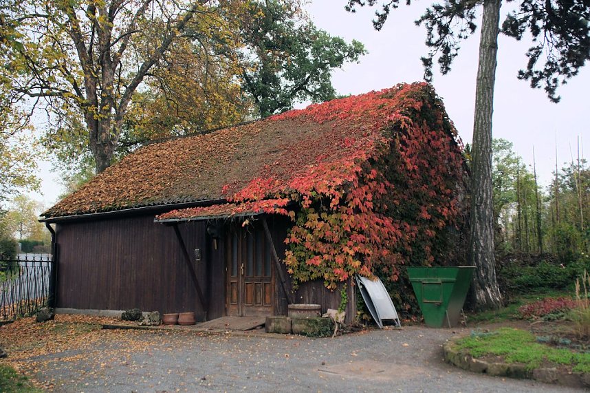 Saisonabschluss im Rosarium