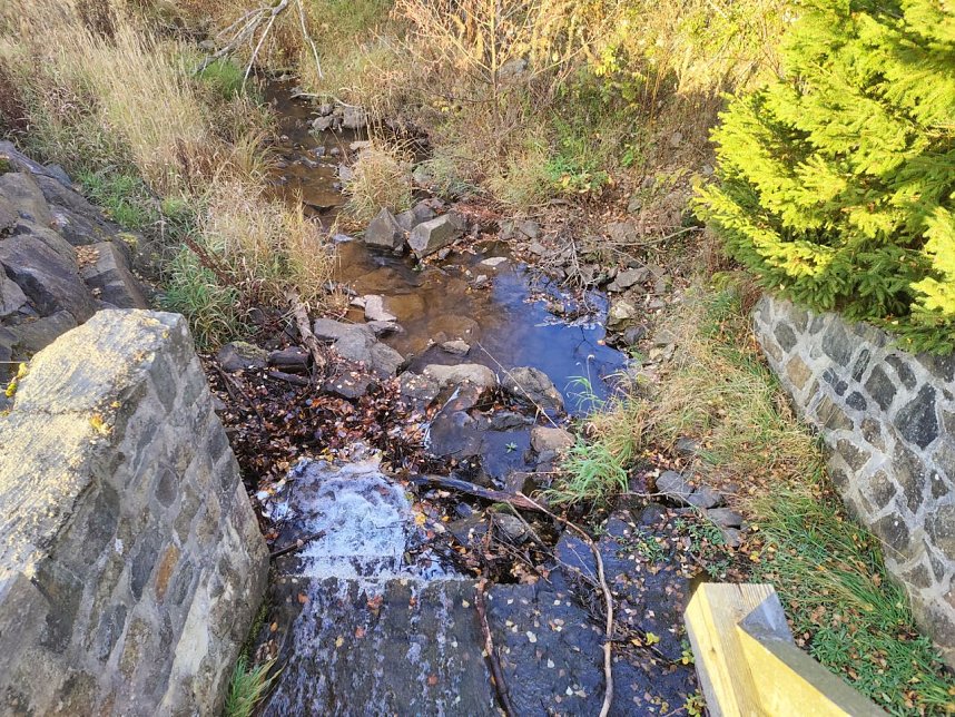 Peter Blei unterwegs im Harz