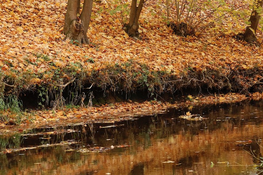 Wo ist all das Wasser hin? - Trockenheit und Niedrigwasser haben das Jahr bestimmt
