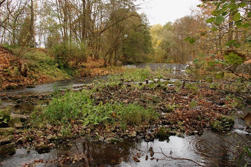 Wo ist all das Wasser hin? - Trockenheit und Niedrigwasser haben das Jahr bestimmt