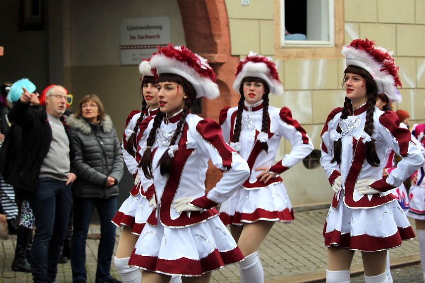 Fr&ouml;hlichbunter Karnevalsumzug in und um Bad Langensalza