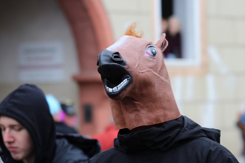 Fr&ouml;hlichbunter Karnevalsumzug in und um Bad Langensalza