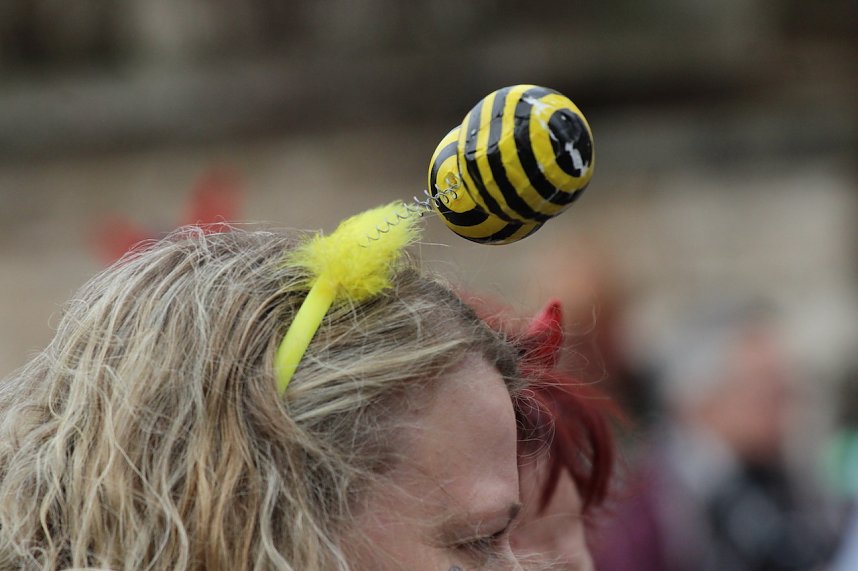 Fr&ouml;hlichbunter Karnevalsumzug in und um Bad Langensalza