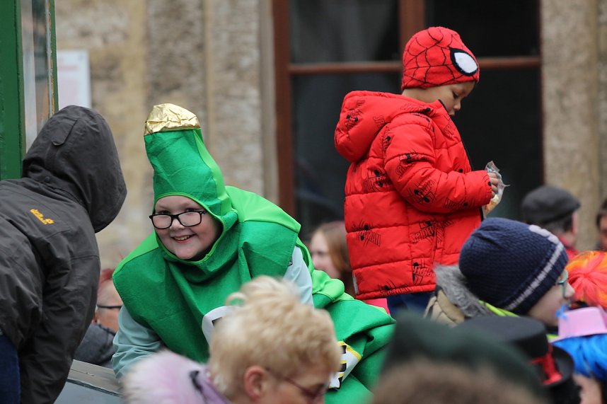 ZUm Karnevalsumzug zog es viele Jecken in die Stadt Bad Langensalza