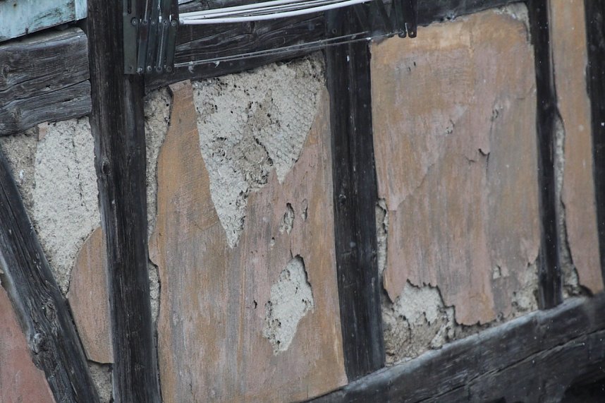 Putz an den historischen Fassaden wird von den Tauben abgepickt 