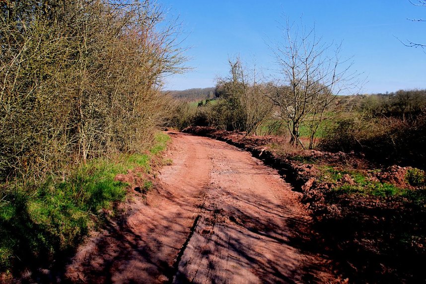 Osterspaziergang im Vorharz