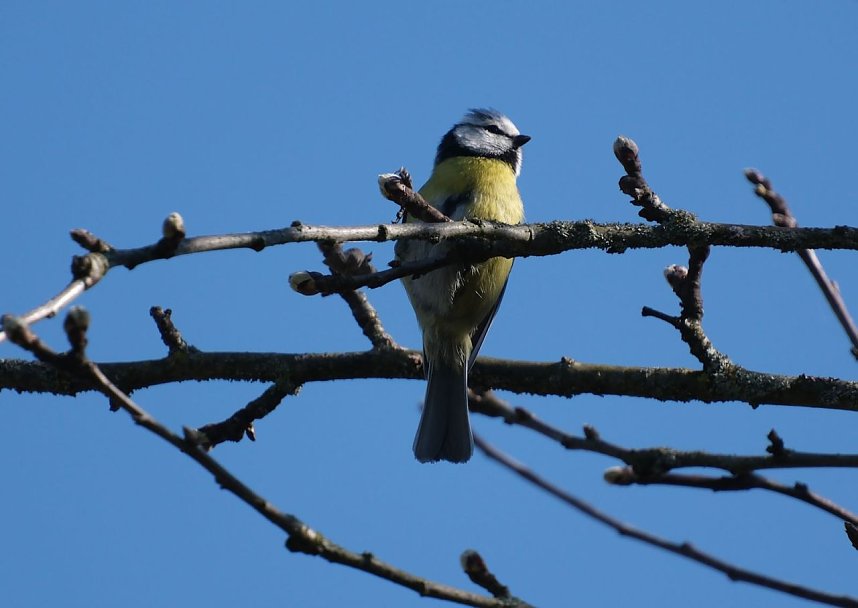 Osterspaziergang im Vorharz